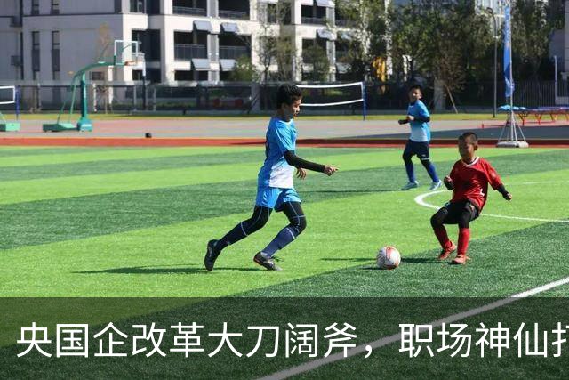 央国企改革大刀阔斧，职场神仙打架，未来让人捏把冷汗